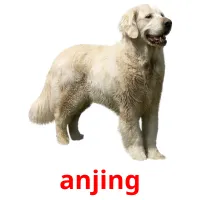 anjing карточки энциклопедических знаний