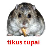 tikus tupai card for translate