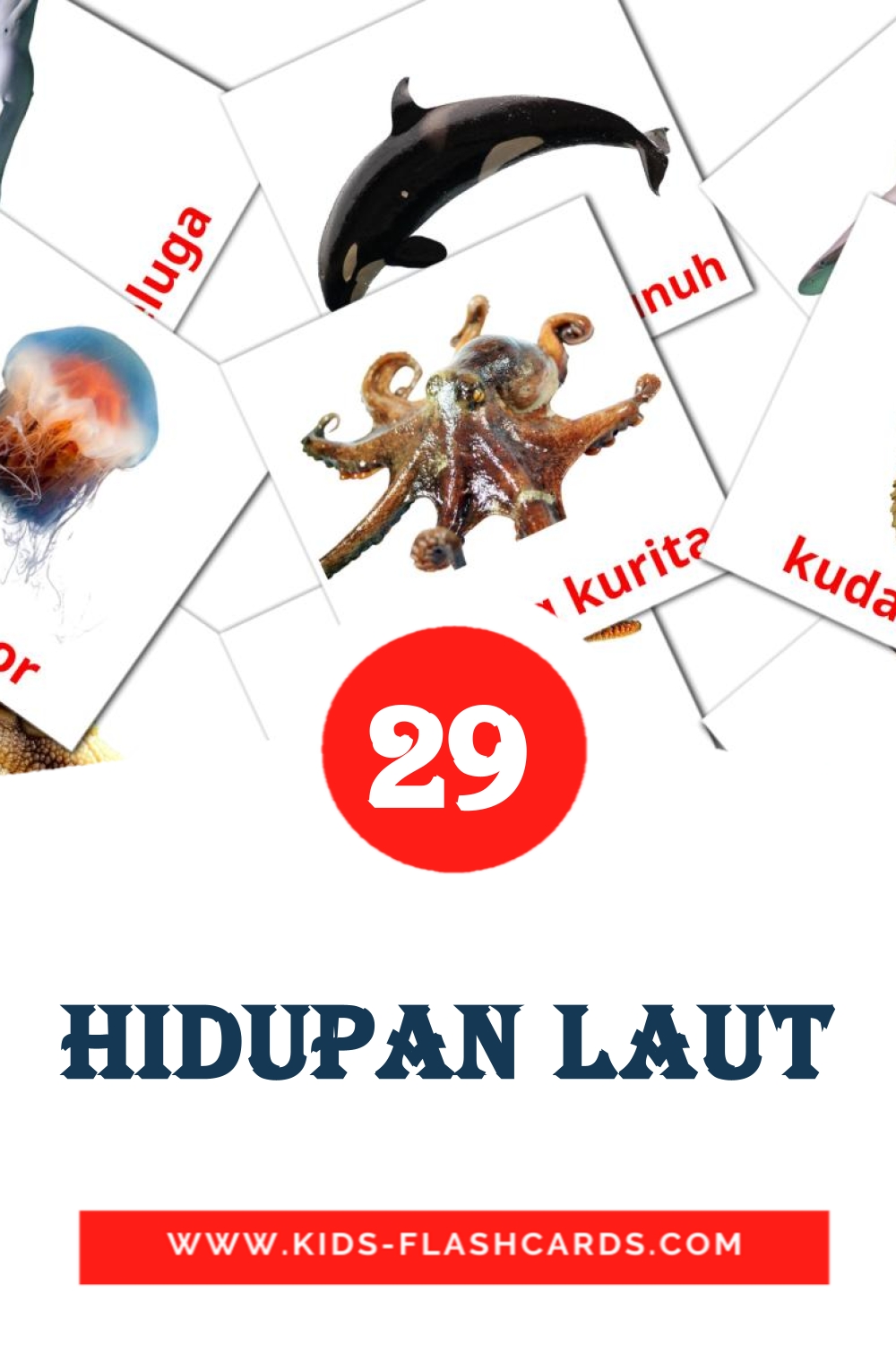 29 cartes illustrées de Hidupan laut pour la maternelle en malais