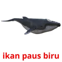 ikan paus biru карточки энциклопедических знаний