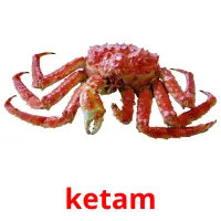 ketam карточки энциклопедических знаний