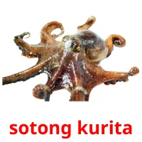 sotong kurita карточки энциклопедических знаний