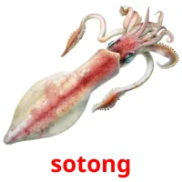 sotong карточки энциклопедических знаний