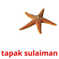 tapak sulaiman picture flashcards