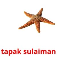 tapak sulaiman карточки энциклопедических знаний