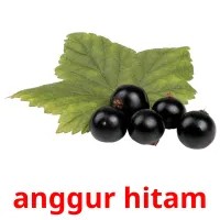 anggur hitam карточки энциклопедических знаний