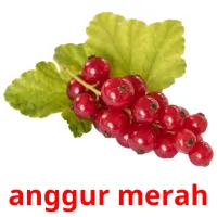 anggur merah карточки энциклопедических знаний