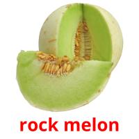 rock melon picture flashcards