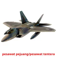 pesawat pejuang/pesawat tentera picture flashcards