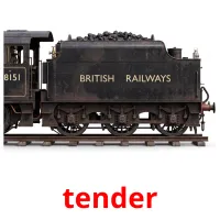 tender picture flashcards