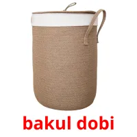 bakul dobi карточки энциклопедических знаний