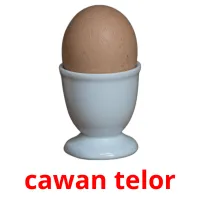 cawan telor карточки энциклопедических знаний