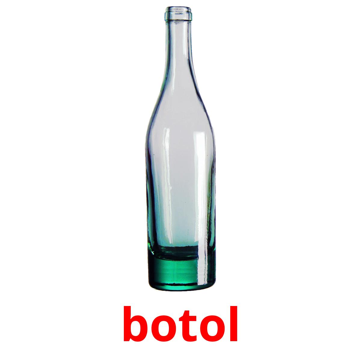 botol flashcards illustrate