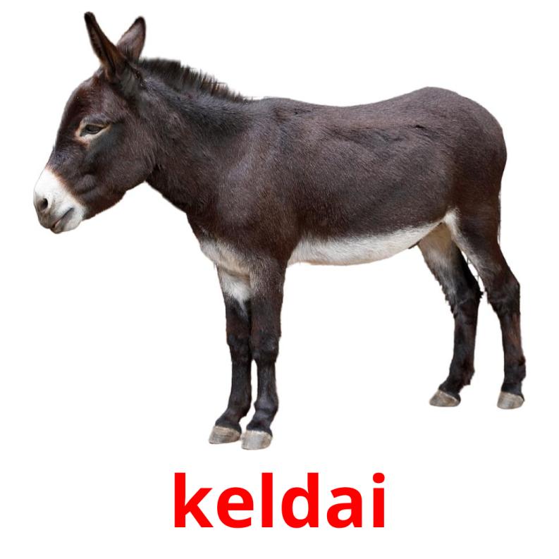 15-free-farm-animals-flashcards-in-pdf-malay-pictures