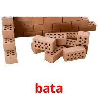 bata карточки энциклопедических знаний