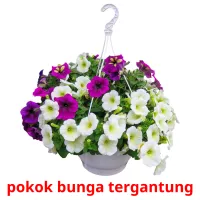 pokok bunga tergantung карточки энциклопедических знаний