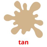 tan picture flashcards