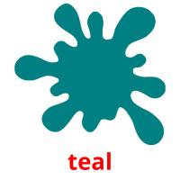 teal picture flashcards