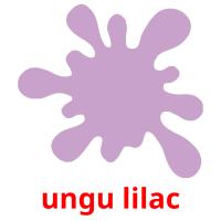 ungu lilac picture flashcards