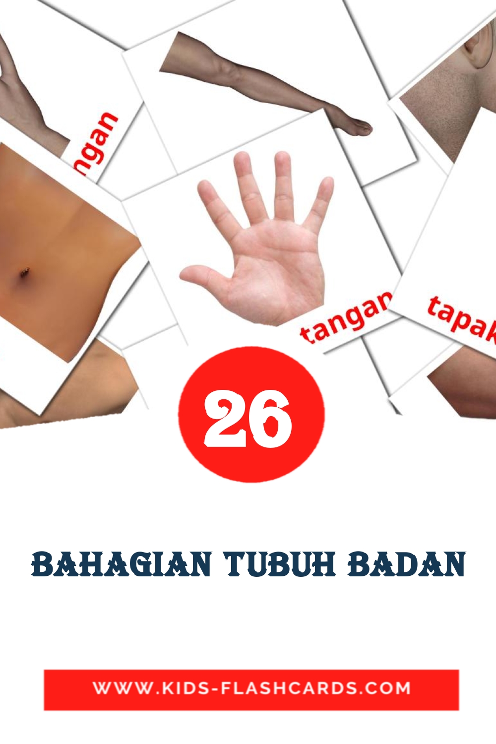 26 cartes illustrées de Bahagian Tubuh Badan pour la maternelle en malais