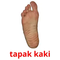 tapak kaki карточки энциклопедических знаний