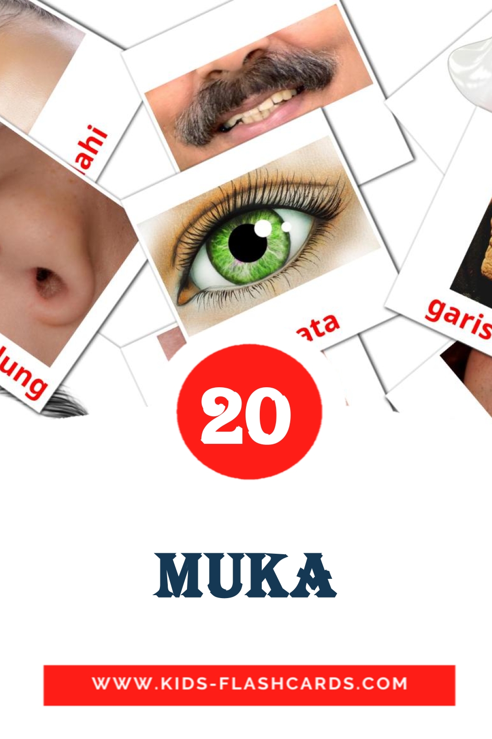 20 Muka Picture Cards for Kindergarden in malay