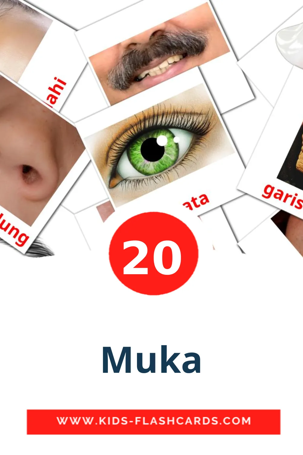 Muka на малайском для Детского Сада (20 карточек)