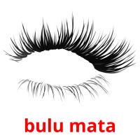 bulu mata card for translate