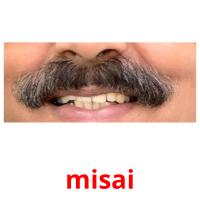misai picture flashcards