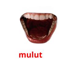mulut card for translate