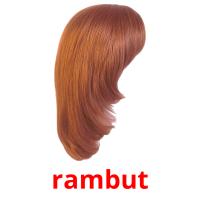 rambut card for translate