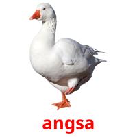 angsa picture flashcards