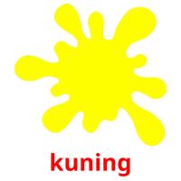 kuning picture flashcards