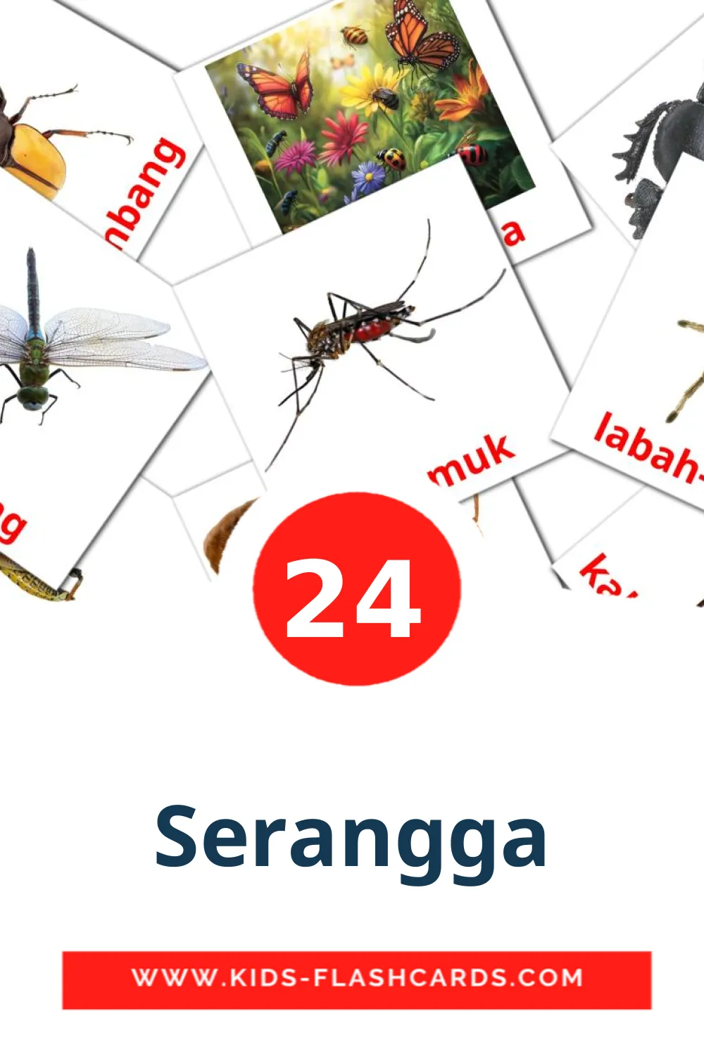 Serangga на малайском для Детского Сада (24 карточки)