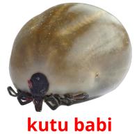 kutu babi card for translate