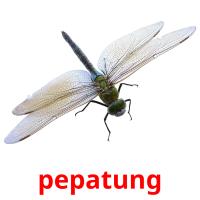 pepatung picture flashcards