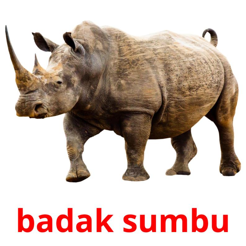 badak sumbu picture flashcards