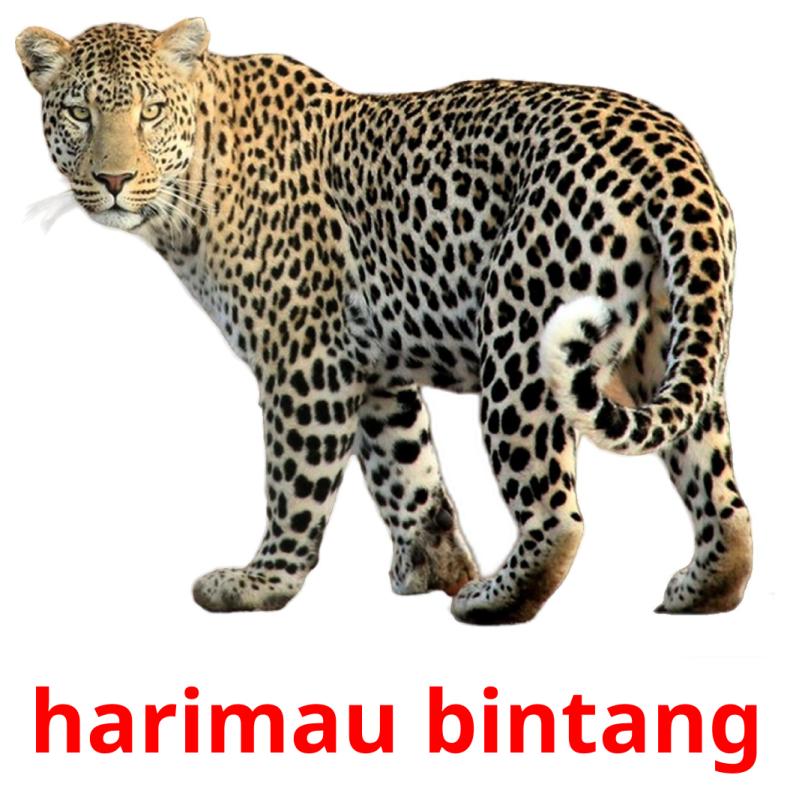 21 Free Jungle Animals Flashcards In Malay Pdf Files