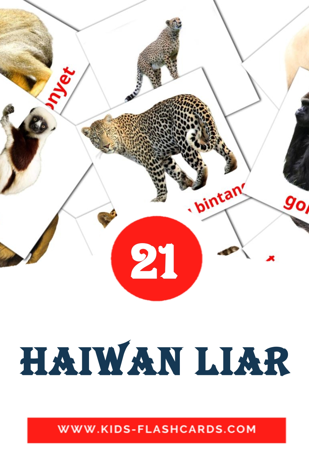 Haiwan Liar на малайском для Детского Сада (21 карточка)
