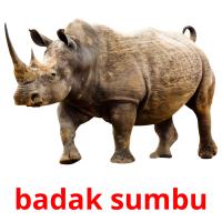 badak sumbu card for translate