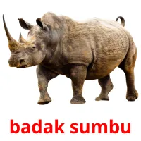 badak sumbu карточки энциклопедических знаний