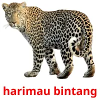 harimau bintang карточки энциклопедических знаний