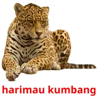 harimau kumbang карточки энциклопедических знаний