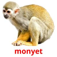 monyet card for translate