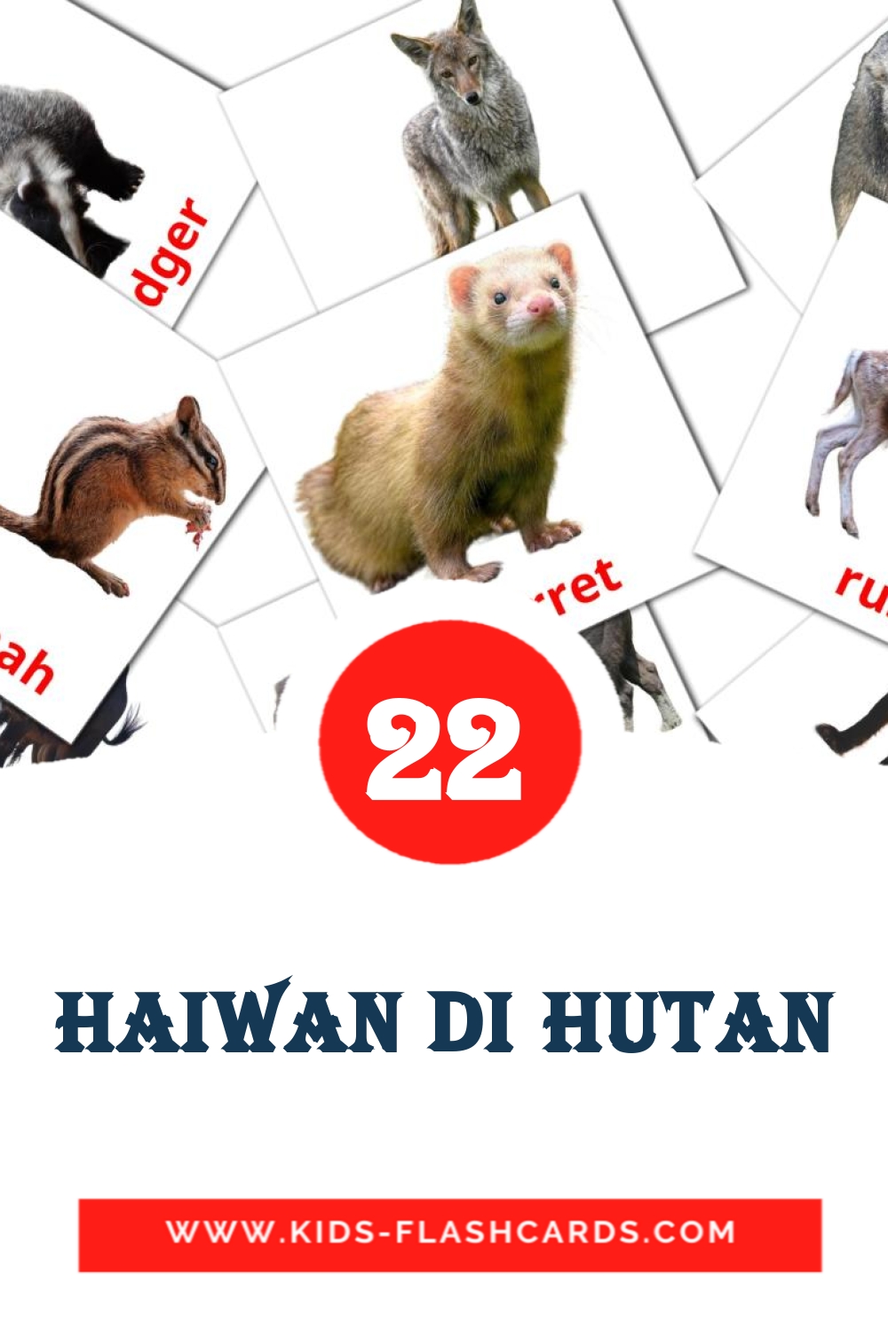 22 cartes illustrées de Haiwan di Hutan pour la maternelle en malais
