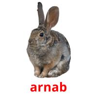 arnab card for translate