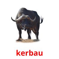 kerbau card for translate
