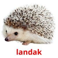 landak card for translate