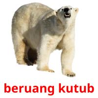 beruang kutub cartões com imagens
