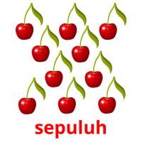 sepuluh picture flashcards